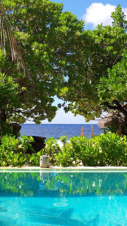 Green Lodge Moorea Temae Ngoại thất bức ảnh