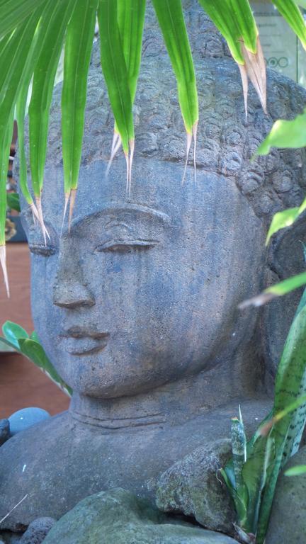 Green Lodge Moorea Temae Ngoại thất bức ảnh